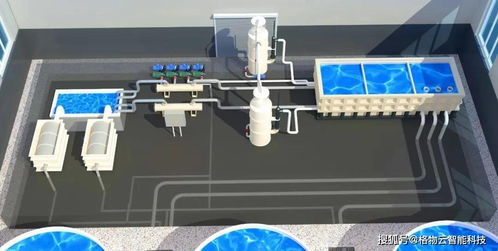 科技力量引領(lǐng)水產(chǎn)養(yǎng)殖新模式 信息技術(shù)咨詢服務(wù)的角色與前景