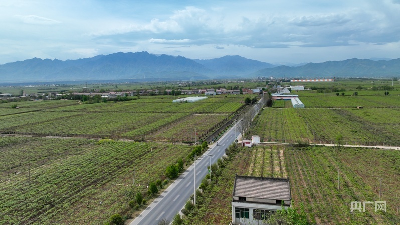 鄉(xiāng)路上，感受脈動(dòng)中國——美麗鄉(xiāng)路服務(wù)提質(zhì)，地標(biāo)鮮果助力振興